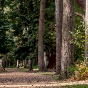 Sandringham Estate – Norfolk