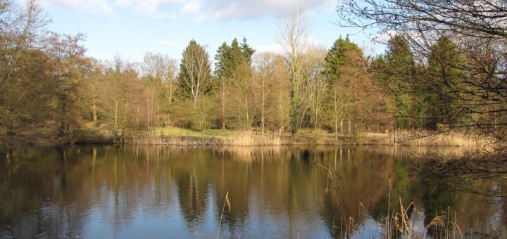 Lynford Arboretum and Lakes – Thetford