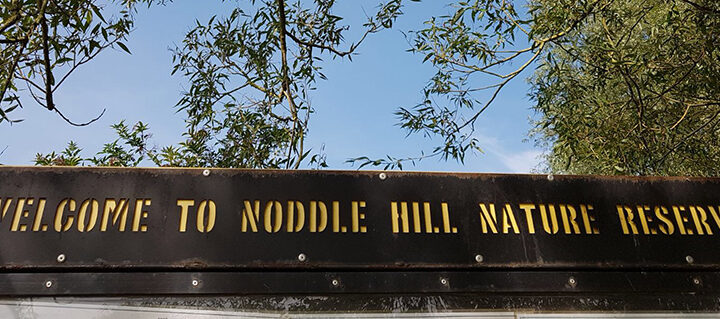 Noddle Hill Nature Reserve – Hull