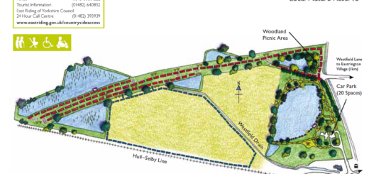 Eastrington Ponds – Local Nature Reserve