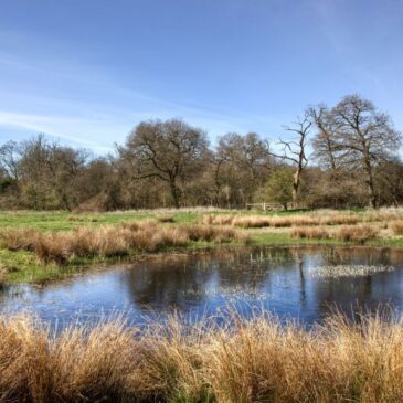 East Wretham Heath – Norfolk