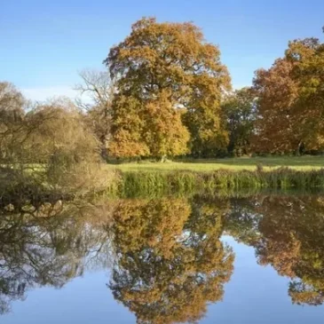 Ickworth House – National Trust